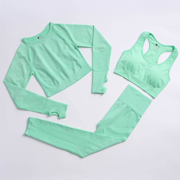 Seamless Fitness Yoga 2 Piece Set