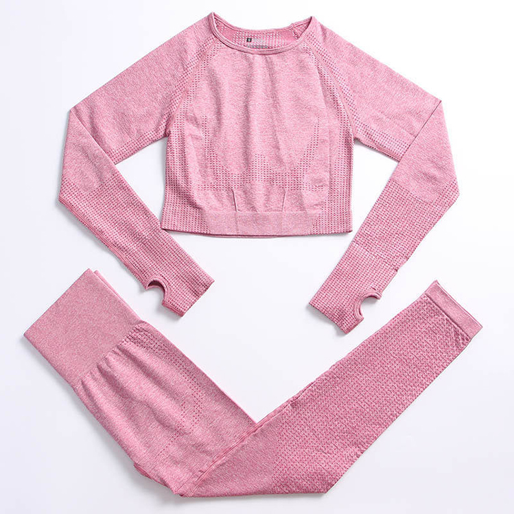 Seamless Fitness Yoga 2 Piece Set