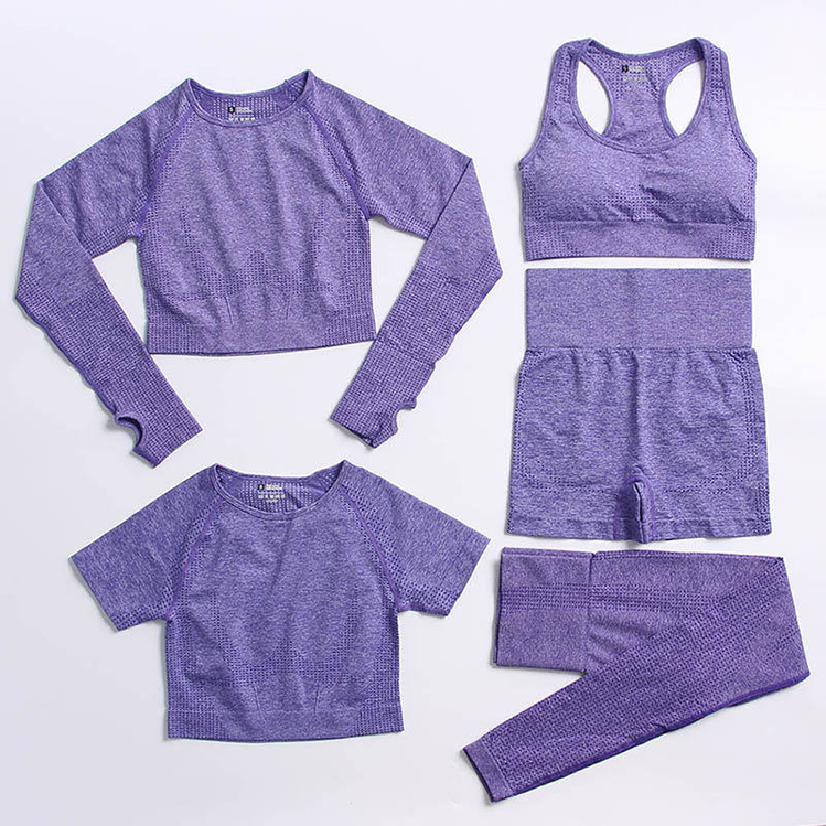 Seamless Fitness Yoga 2 Piece Set