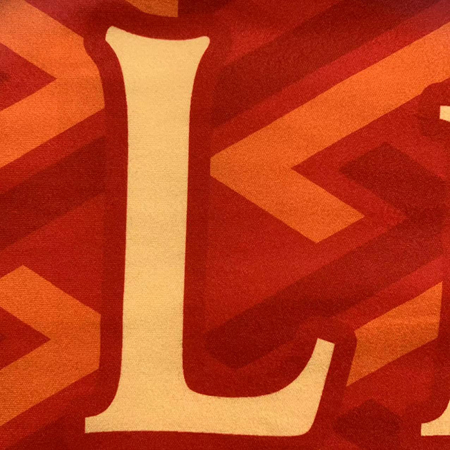 Sport Printed Sport Velvet Scarf