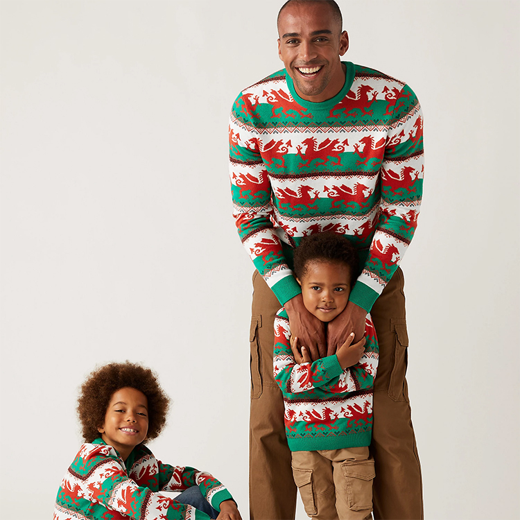Dragon Pattern Crewneck Knitted Pullover Christmas Jumper