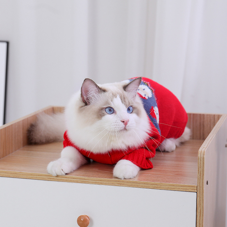 Red Knitted Christmas Santa Cat Sweater