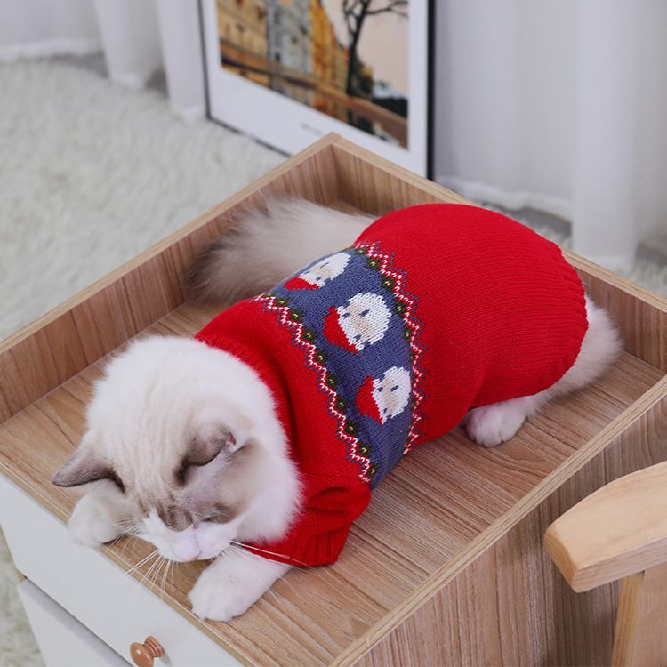 Red Knitted Christmas Santa Cat Sweater