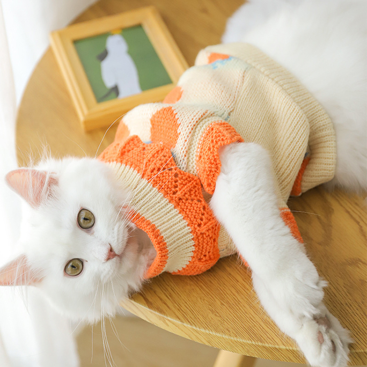 Autumn Strawberry Pattern Cat Knitted Sweater