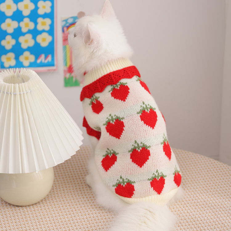 Autumn Strawberry Pattern Cat Knitted Sweater
